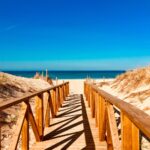 empty brown wooden dock towards beach